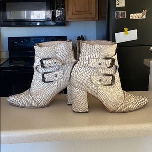 FREEBIRD by Steven Joey, snakeskin